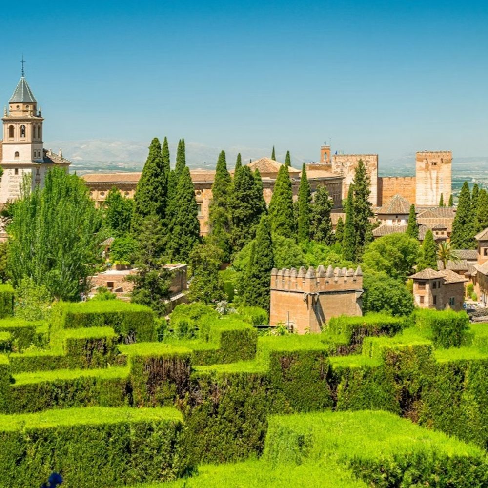 Alhambra and Nasrid Palaces — Private Guided Tour