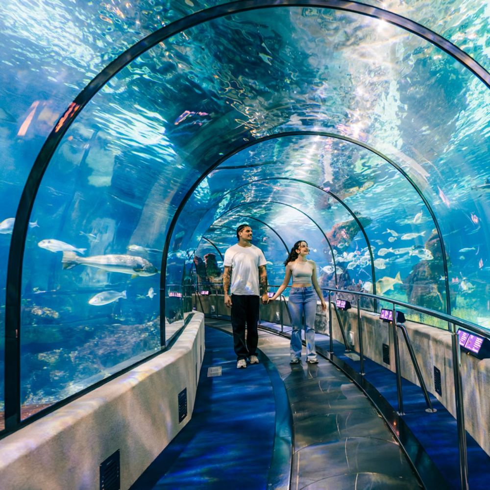 Barcelona Aquarium — Skip-the-Line Ticket