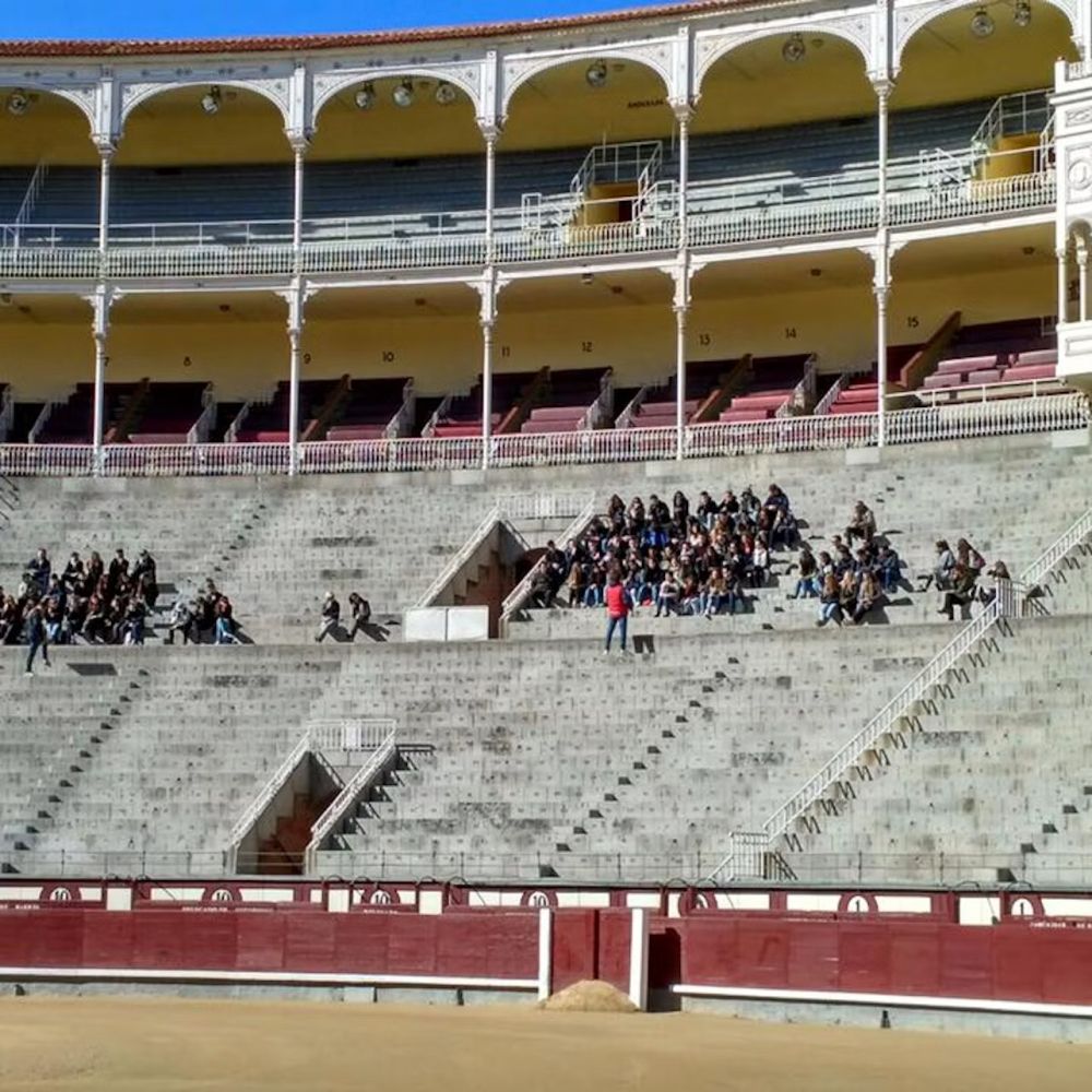 Las Ventas Arena and Bullfighting Museum — Ticket with Guide