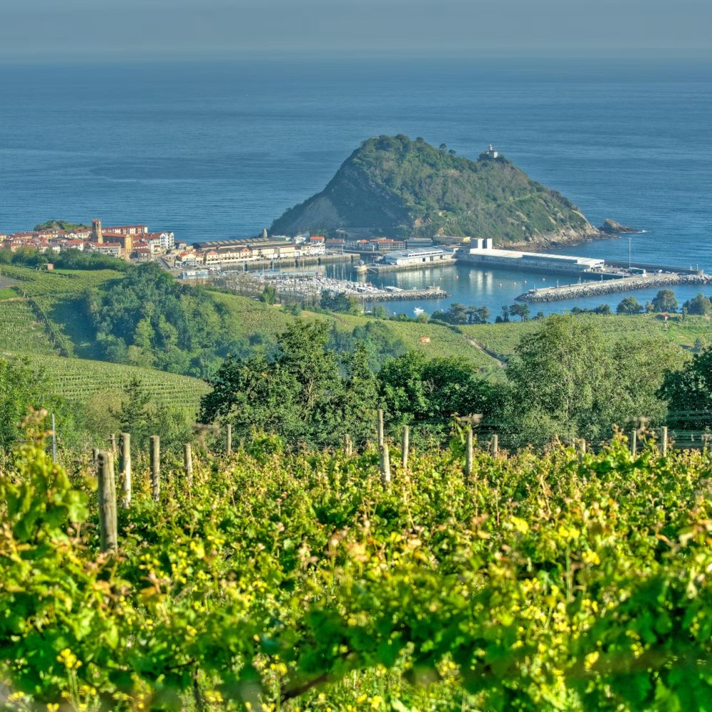 Txakoli Winery and Getaria — Guided Tour from San Sebastián