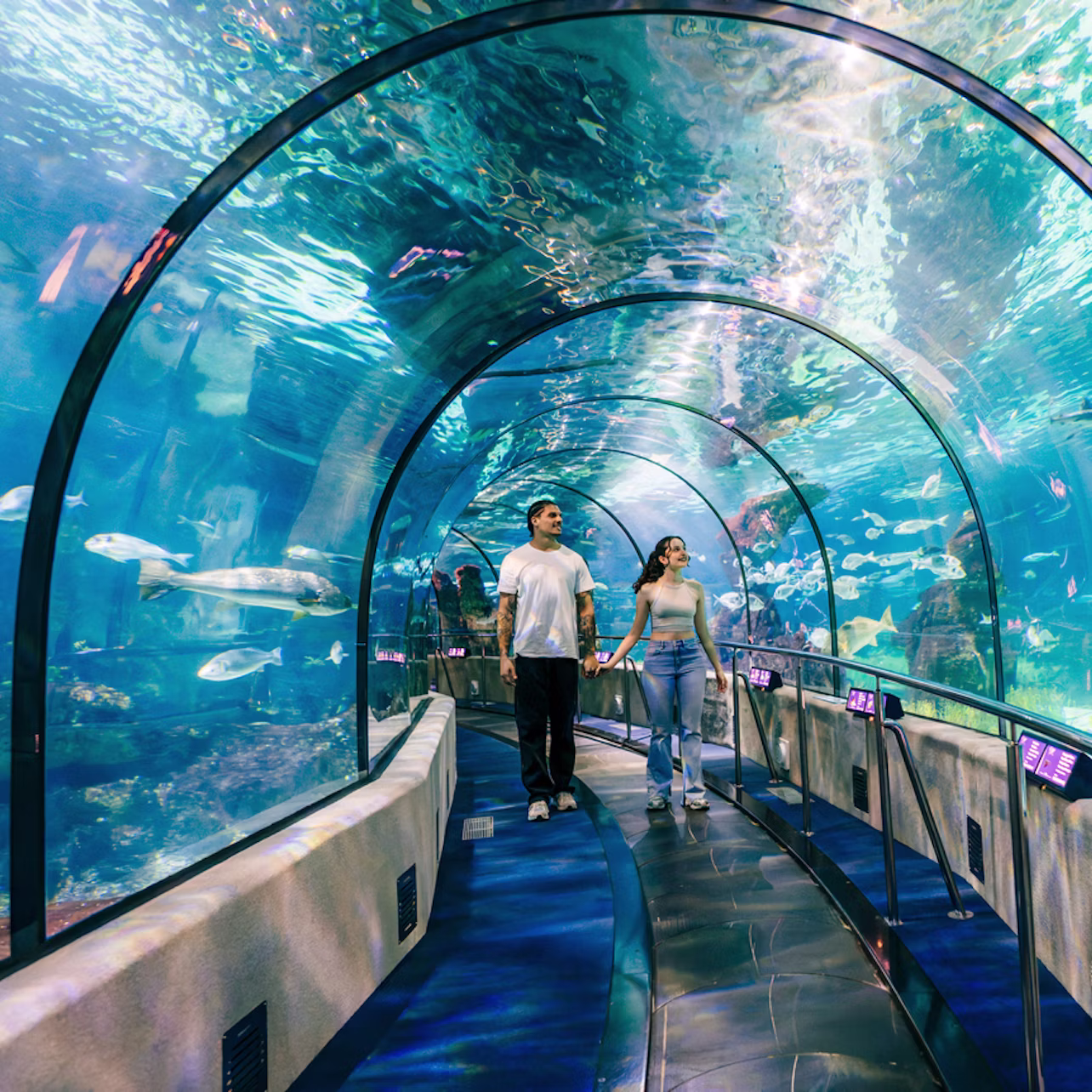 Acuario de Barcelona — entrada sin colas