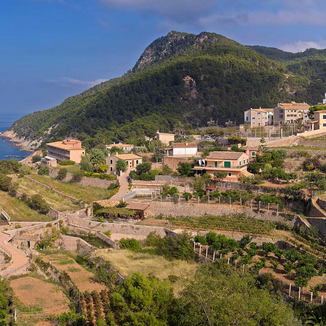 Tour por la isla de Mallorca — autobús, tren, tranvía y barco