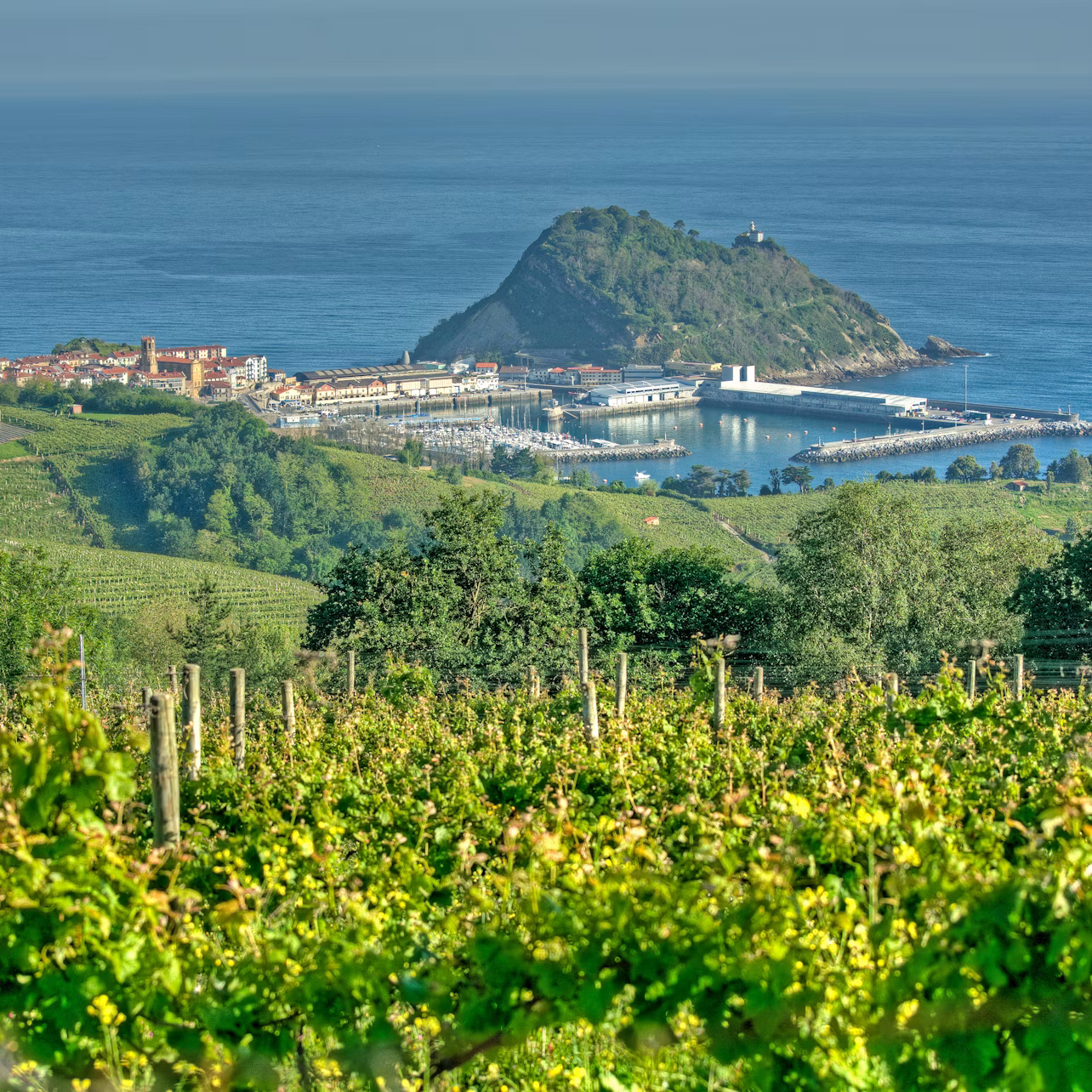 Bodega de Txakoli y Getaria — tour con guía desde San Sebastián