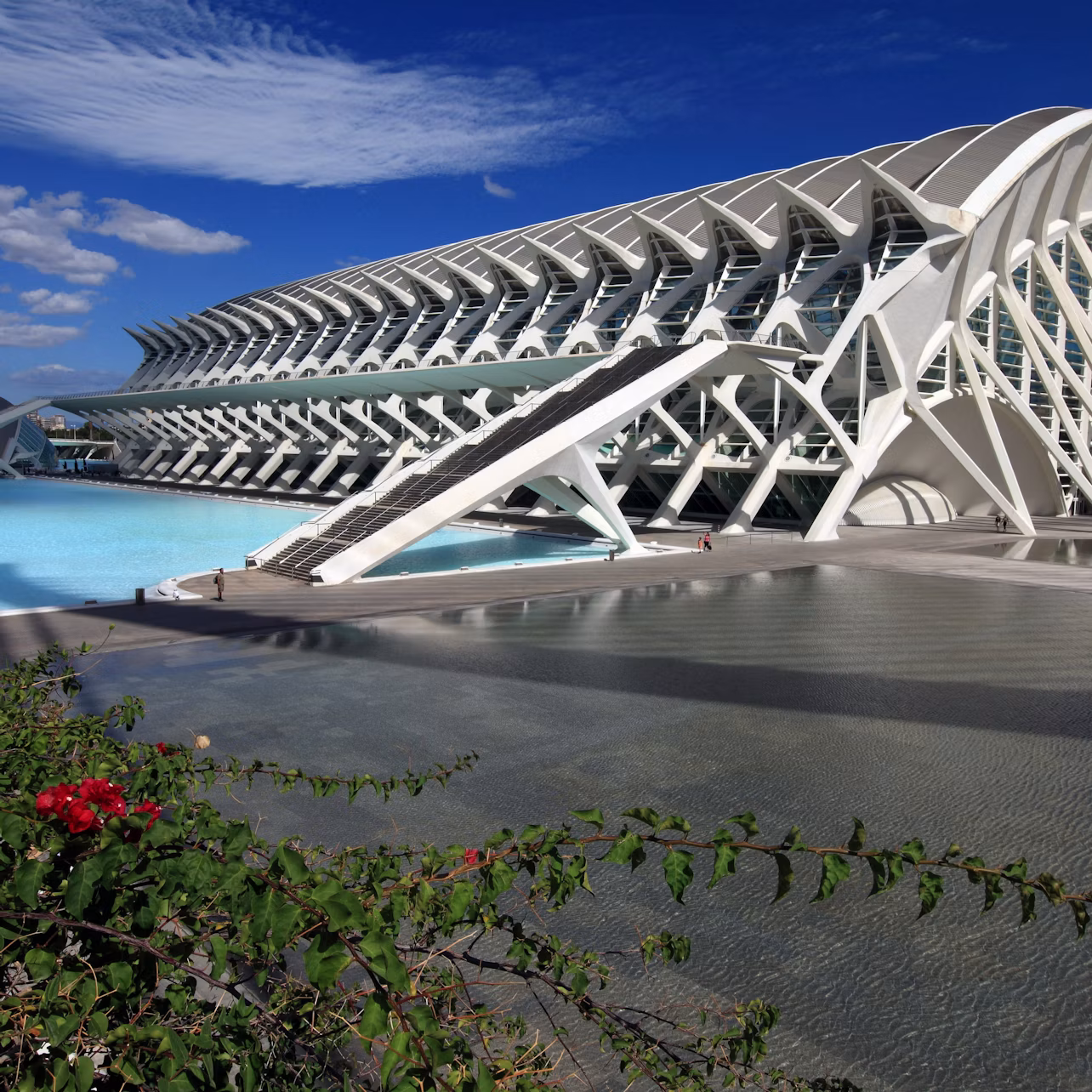 Parque Oceanográfico + Museo de la Ciencia — entrada sin colas